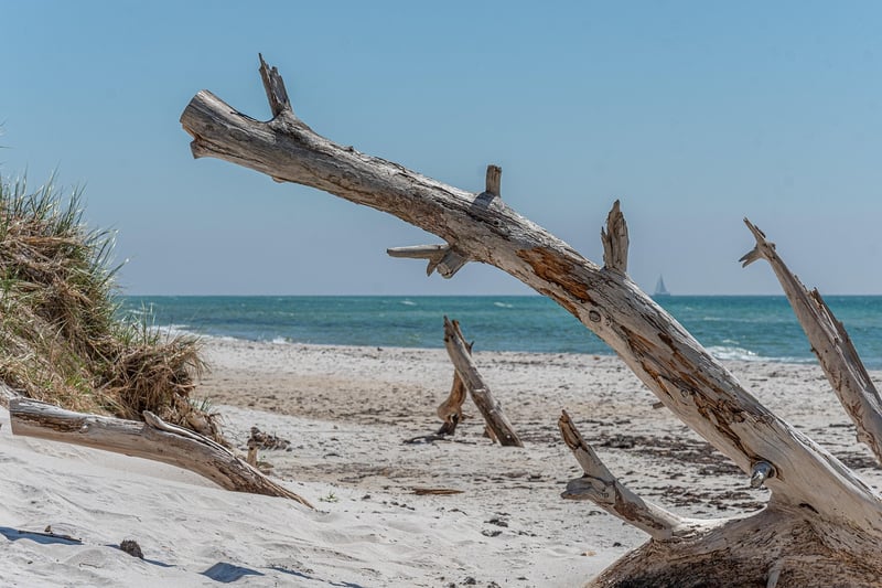 Driftwood Centerpieces