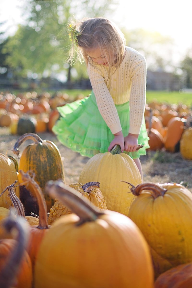 Pumpkin